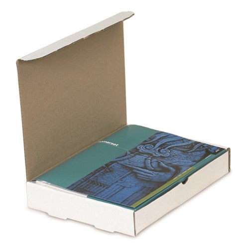 10 x 10 x 4" Protective Literature Mailer